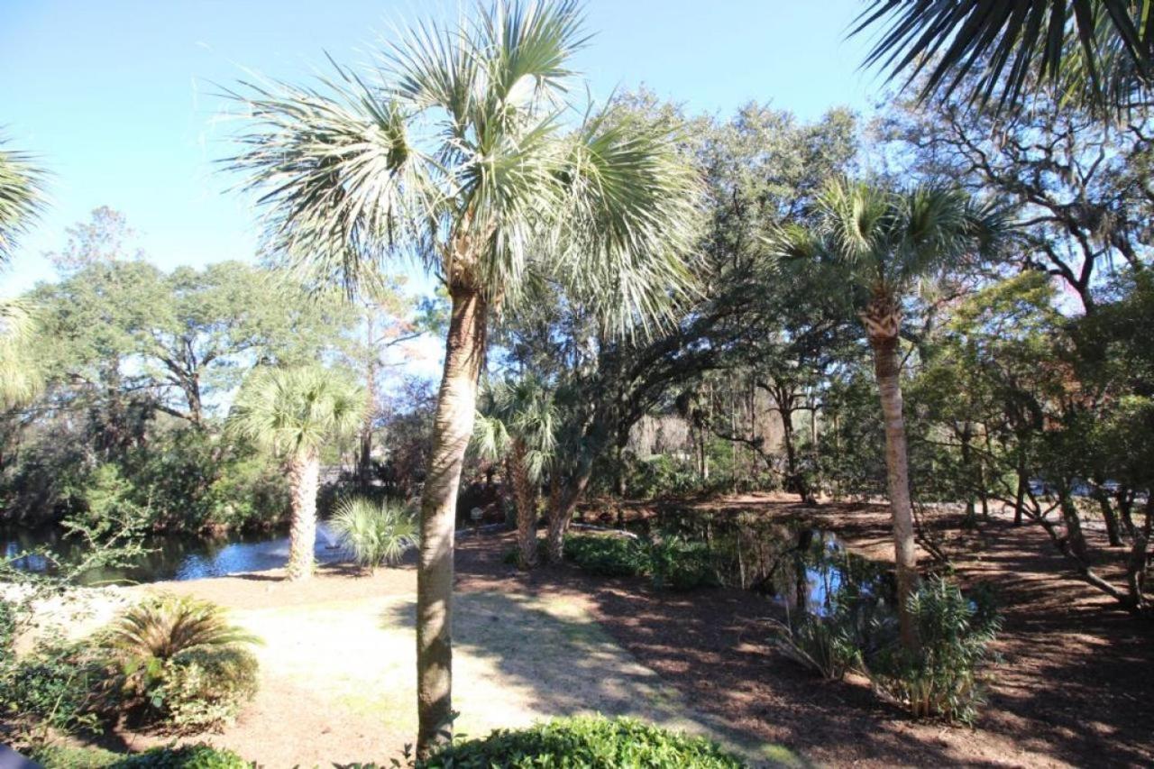 123 Forest Beach Villas Hilton Head Island Exterior foto